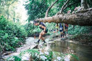 BIB: 
                            <button type="button" onclick="openModal(25435906)" class="btn btn-primary btn-sm float-right btn-popup" data-toggle="modal" data-target=".modal-high-quality">
                        <i class="fas fa-shopping-cart"></i> Add to Cart
                    </button>
                                            <button type="button" onclick="isThisMe(25435906, true)" class="btn btn-success btn-sm float-right btn-popup btn-isme hidden" data-toggle="tooltip" data-placement="bottom" title="นี่คือรูปของคุณใช่ไหม คลิกที่นี่เพื่อเอาเข้าอัลบั้ม">
                        <i class="fas fa-plus"></i> Add to album
                    </button>
                    <button type="button" onclick="isThisMe(25435906, false)" class="btn btn-warning btn-sm float-right btn-popup btn-isnotme hidden">
                        <i class="fas fa-ban"></i> Remove from album
                    </button>